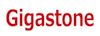Gigastone microSD Cards